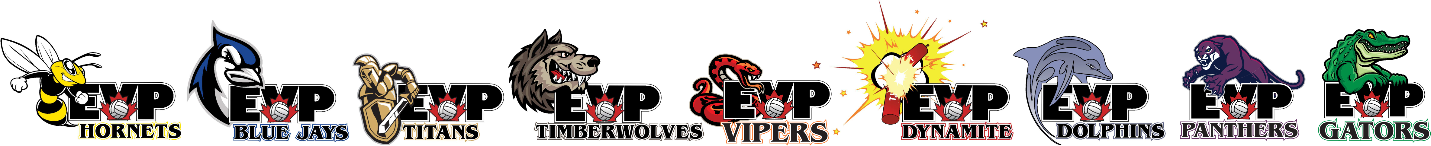 EVP House League Logos (1)